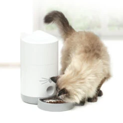 Catit Pixi Smart Feeder -PetJoy Shop 43752 catit pixi smart feeder lifestyle
