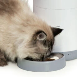 Catit Pixi Smart Feeder -PetJoy Shop 43752 catit pixi smart feeder wisker stress free bowl 1