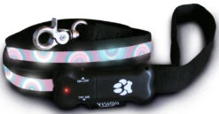 Visiglo Macaroni Light Up Flashing Dog Lead Black 4ft