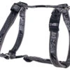 Rogz Armed Response Nylon Harness Silver Gecko 25mm -PetJoy Shop 46732