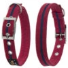 Oscar & Hooch Dog Collar Bold Red -PetJoy Shop 50237