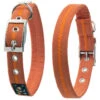 Oscar & Hooch Dog Collar Clementine Orange -PetJoy Shop 50239