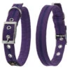 Oscar & Hooch Dog Collar Liberty Purple