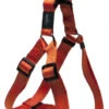 Rogz Lumberjack Reflective Nylon Step-in Harness Orange 25mm -PetJoy Shop 50830