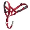 HALTI Headcollar Red 2 HALTI Headcollar Red -PetJoy Shop 519728