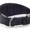 Ancol Heritage Leather Padded Greyhound/Whippet Collar Black -PetJoy Shop 55249