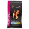 Eukanuba Adult Large Breed Chicken Dog Food 12kg 1 Eukanuba Adult Large Breed Chicken Dog Food 12kg -PetJoy Shop 56707