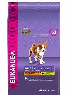 Eukanuba Dog Puppy & Junior Medium Breed Chicken 12kg