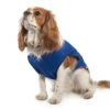 Blue Dog Cooling Vest 2 Blue Dog Cooling Vest -PetJoy Shop 57555