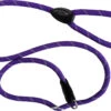 Dog & Co Mountain Rope Slip Lead Purple Reflective 150cm -PetJoy Shop 59753