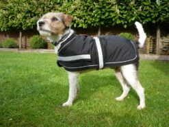 Petface Super Soft Water Resistant Dog Coat Black -PetJoy Shop 5ab96a1ea085c8.64880894