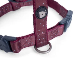 Petface Oxblood Ditsy Spot Dog Harness 18 Petface Oxblood Ditsy Spot Dog Harness -PetJoy Shop 5b97e012df1c92.43467079
