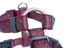 Petface Oxblood Ditsy Spot Dog Harness 21 Petface Oxblood Ditsy Spot Dog Harness -PetJoy Shop 5b97e015d1e0e3.89624462