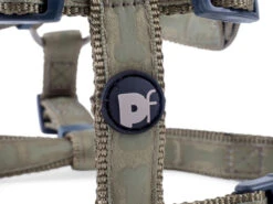 Petface Country Green Tonal Bones Dog Harness 19 Petface Country Green Tonal Bones Dog Harness -PetJoy Shop 5b97ea64f27607.28441087