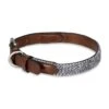 Petface Herringbone Leather Collar 2 Petface Herringbone Leather Collar -PetJoy Shop 5d4940030e1b04.49804263