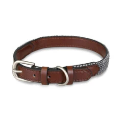 Petface Herringbone Leather Collar -PetJoy Shop 5d497b8a323a76.52999700