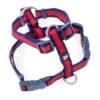 Petface Scarlet Stripe Dog Harness -PetJoy Shop 5f1aacff397ca3.39777957