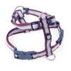 Petface Oxblood Stripe Dog Harness -PetJoy Shop 5f1aad0211c9a2.10192042