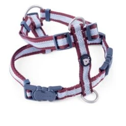 Petface Oxblood Stripe Dog Harness -PetJoy Shop 5f1aad02a1fbe5.96065361