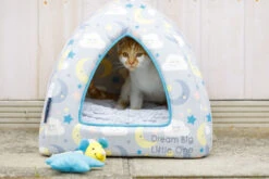 Petface Little Petface Cat Igloo -PetJoy Shop 60c080d4a6c961.43307262