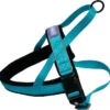 Dog & Co Nylon Norwegian Harness Reflective Aqua -PetJoy Shop 62773
