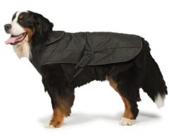 Danish Design 2 In 1 Ultimate Harness Dog Coat Black