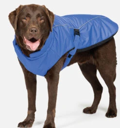 Danish Design Sports Luxe Blue Dog Coat