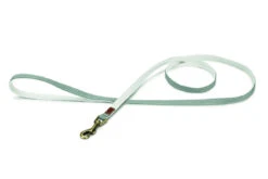 Designed By Lotte Nylon Dog Lead Virante Mint