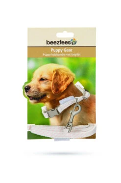 Beeztees Puppy Set Collar & Lead Pink