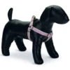 Designed By Lotte Nylon Dog Harness Virante Light Pink -PetJoy Shop 65177