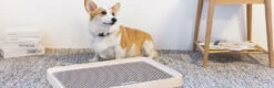 Petkit Pura Dog Indoor Training Pad Holder
