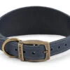Ancol Timberwolf Greyhound Leather Dog Collar In Blue 34-43cm -PetJoy Shop 65516
