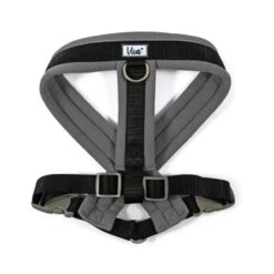 Ancol Viva Padded Dog Harness In Black -PetJoy Shop 725814