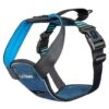 Company Of Animals Carsafe Crash Tested Dog Harness Blue -PetJoy Shop 740612