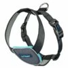 Carsafe Travel Harness -PetJoy Shop 741187