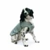 An Ultimate Reflect Coat Extra Small -PetJoy Shop 766072