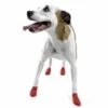 Pawz Dog Boots Red Small 1 Pawz Dog Boots Red Small -PetJoy Shop 773750