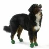 Pawz Dog Boots Green Extra Large -PetJoy Shop 773815