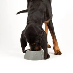 Scruffs® Classic Long Eared Dog Bowl Grey -PetJoy Shop 822710 2