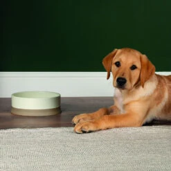 Scruffs® Scandi Non Tip Bowl Cream -PetJoy Shop 823205 2 1