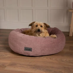 Scruffs® Oslo Ring Dog Bed - Blush Pink 7 Scruffs® Oslo Ring Dog Bed - Blush Pink -PetJoy Shop 8249053