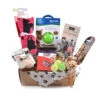 Cat Toy Subscription Box 2 Cat Toy Subscription Box -PetJoy Shop Cat toy