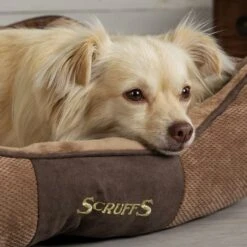 Scruffs® Chester Box Dog Bed - Chocolate Brown -PetJoy Shop ChocolateChesterBoxBed2