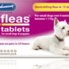 Johnson's 4fleas Tablets For Dogs & Puppies - Up To 11kg - 6 Treatments 2 Johnson's 4fleas Tablets For Dogs & Puppies - Up To 11kg - 6 Treatments -PetJoy Shop D084 1