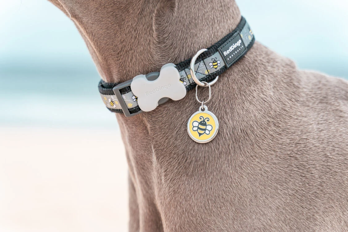 Red Dingo Stainless Steel Engraved Dog Tag Bumble Bee Yellow 5 Red Dingo Stainless Steel Engraved Dog Tag Bumble Bee Yellow - Image 3