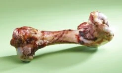 20 X Dugdale Davies Premium Ham Bone