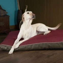 Scruffs® Hilton Orthopedic Dog Bed Mattress - Burgundy -PetJoy Shop HiltonBurgundy3