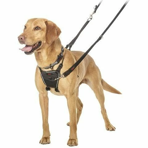 Halti No Pull Dog Harness 3 Halti No Pull Dog Harness