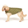 Danish Design Forest Green Quilted Dog Coat -PetJoy Shop Quilted Dog Coat Green with Dog