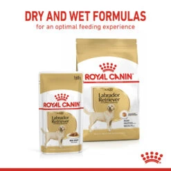 ROYAL CANIN® Labrador Retriever Adult In Gravy Wet Dog Food -PetJoy Shop a8n8hwzpioj4at0pojzv
